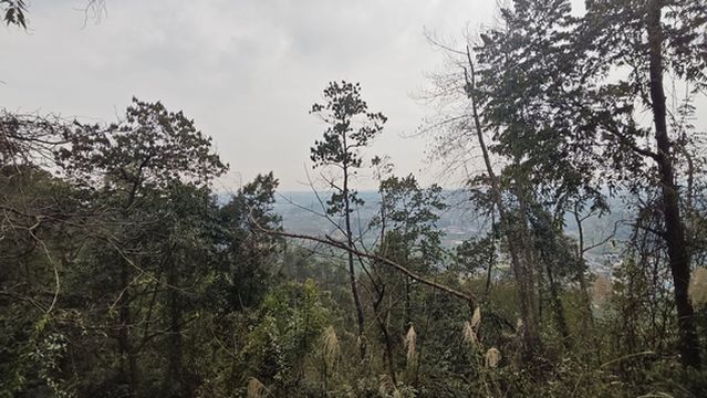 mei shan shi dan leng xian jiu long shan sen lin gong yuan