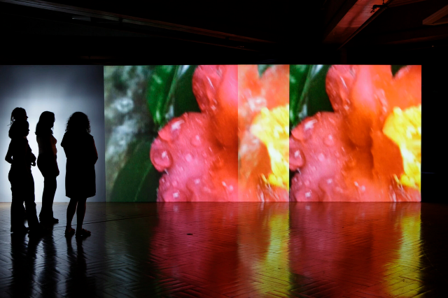 皮皮洛蒂·克羅斯《超主觀》展覽 | 芝加哥當代藝術博物館
