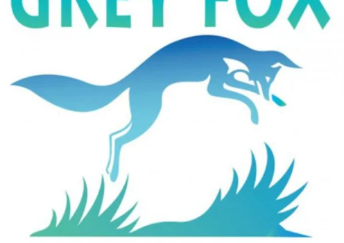 Grey Fox Bluegrass Festival 2025