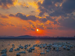 서울 출발 웨이하이 도착 비행시간
