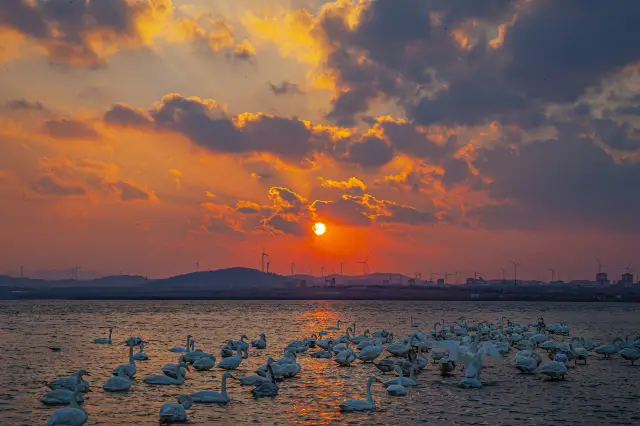 Sunsets in WeiHai