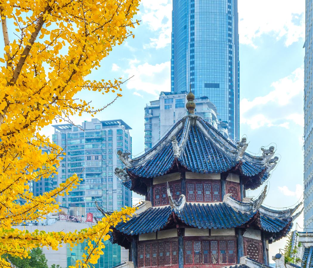 市西路／大十字広場地区