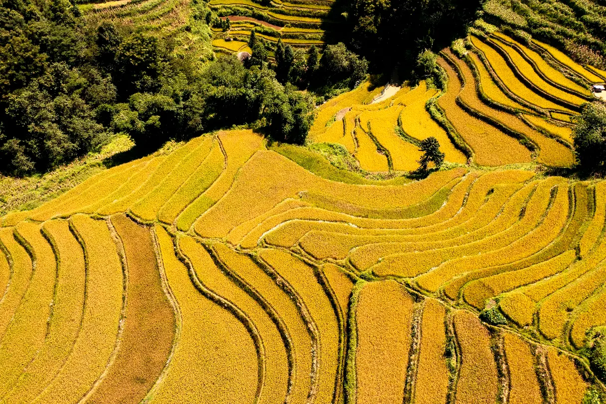 2_Yuanyang Hani Terrace