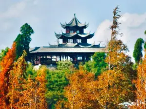 Popular Fall Viewing Attractions in Shiping