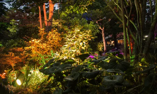 Parco Auckland Domain