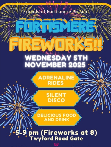 Fortismere Fireworks | 런던 버로우 오브 하린지