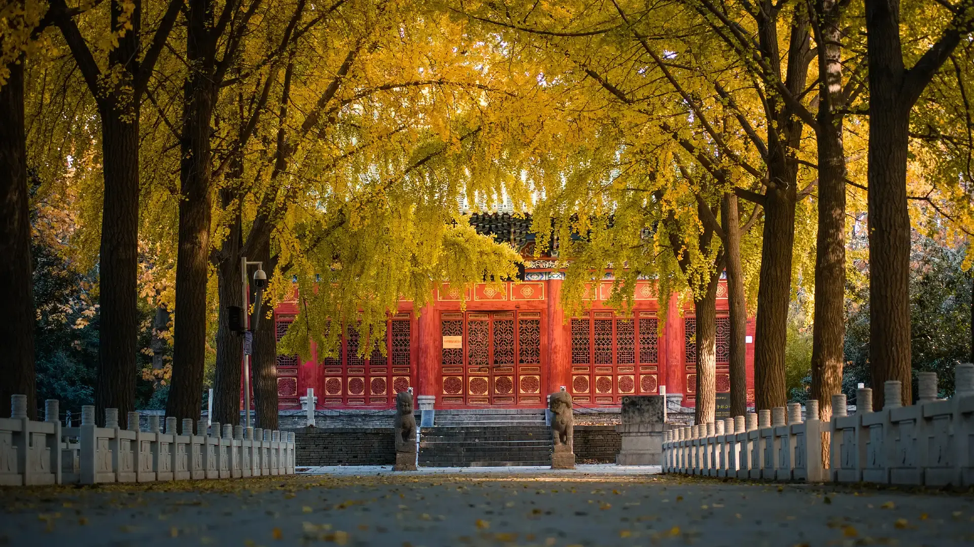 Hotels near Zhengzhou People's Park