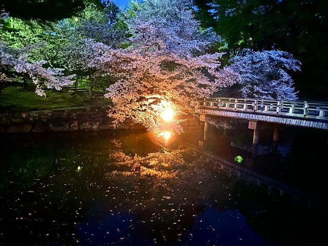 夜の奈良公園・浮見堂と鷺池
