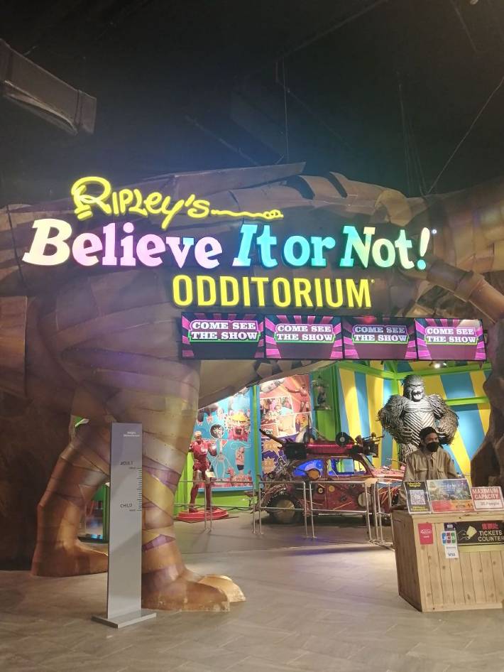 Afternoon: Ripley's Believe It or Not! Odditorium