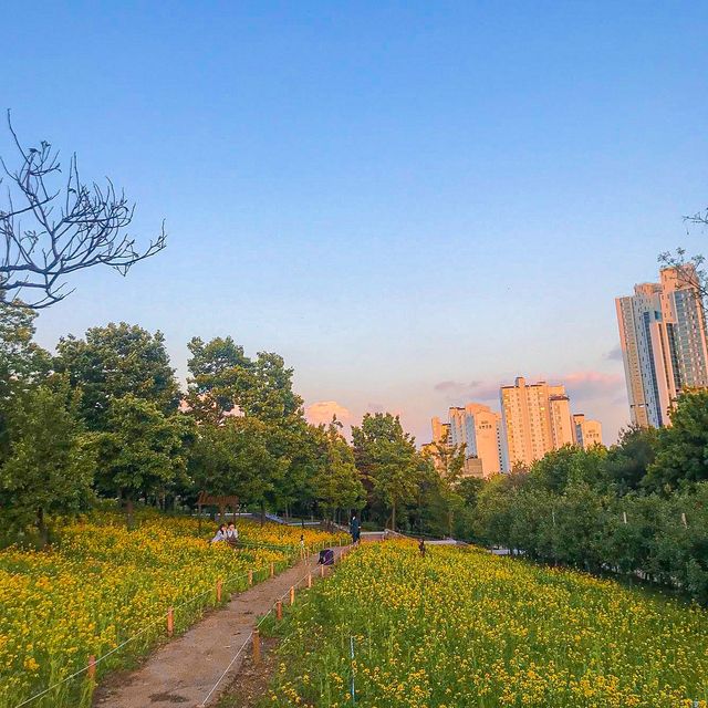 꽃보러 서울숲가자٩꒰｡•◡•｡꒱۶