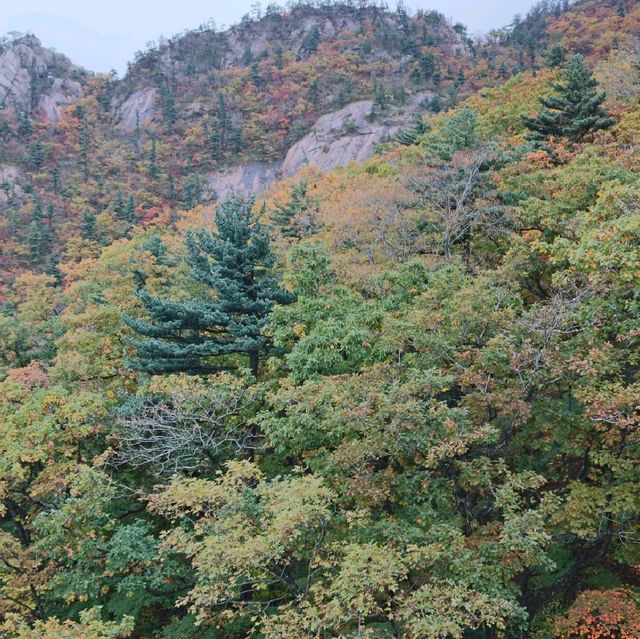 Mt. Seoraksan