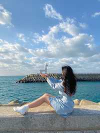 제주도 이호테우 해수욕장ღ'ᴗ'ღ