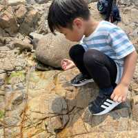 Tung Lung Island 