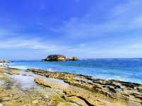 The turtle beach