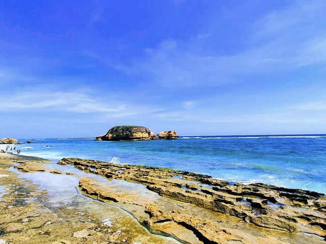The turtle beach