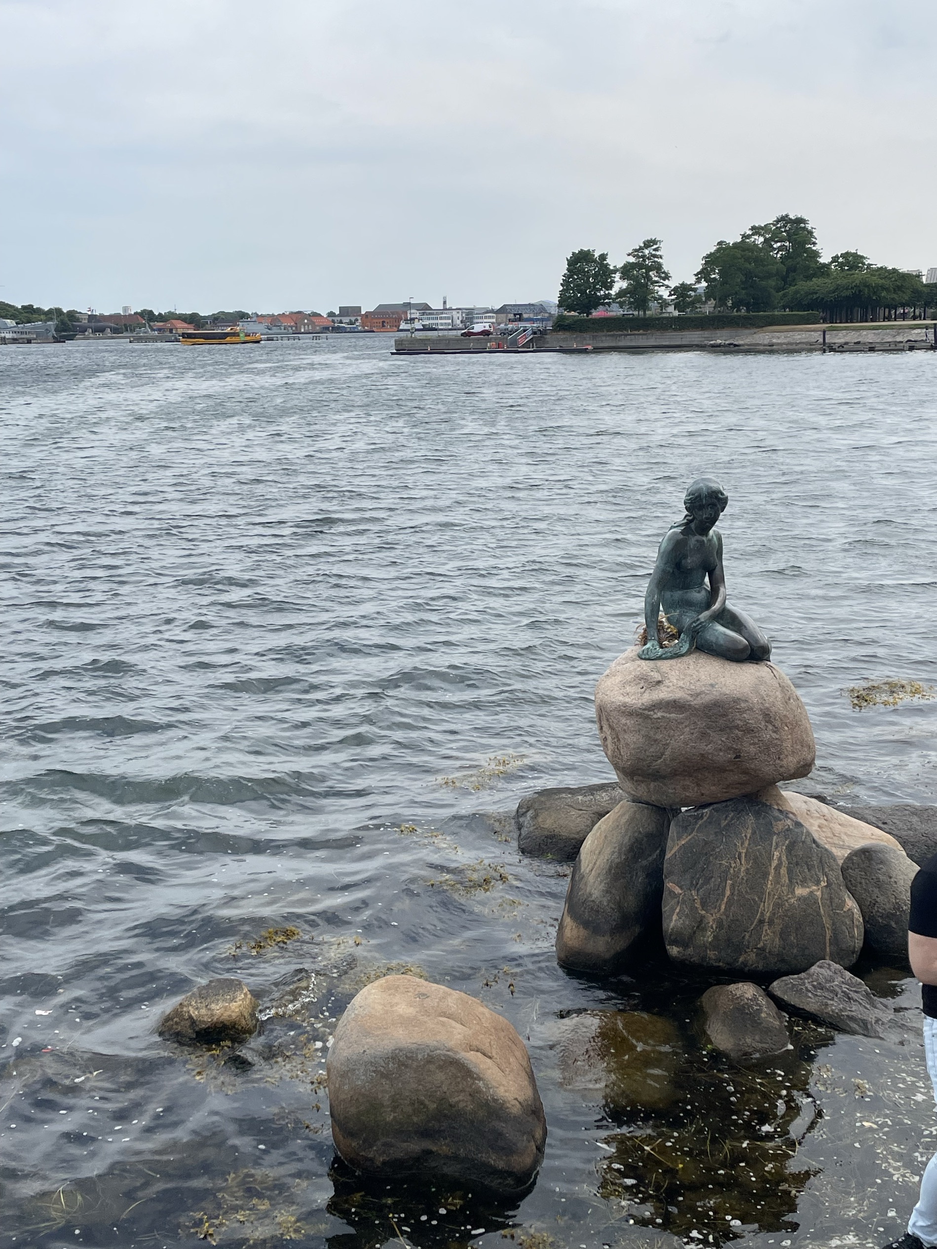 人魚姫のレビュー 人魚姫のチケット 人魚姫の割引 人魚姫の交通機関 所在地 営業時間 人魚姫周辺の観光スポット ホテル グルメ Trip Com