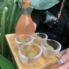 JUN WO ZI YE SHENG JUN HUO GUO HUO PIAO YANG ROU HUO GUO 여행 사진