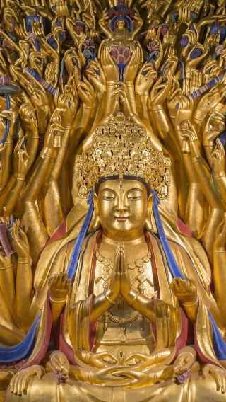 Private All-inclusive Dazu Stone Carving Day Tour from Chengdu by Bullet Train