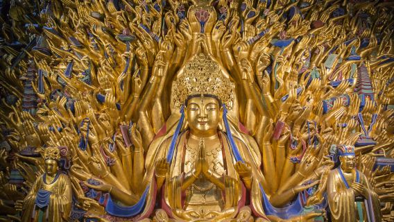 Private All-inclusive Dazu Stone Carving Day Tour from Chengdu by Bullet Train