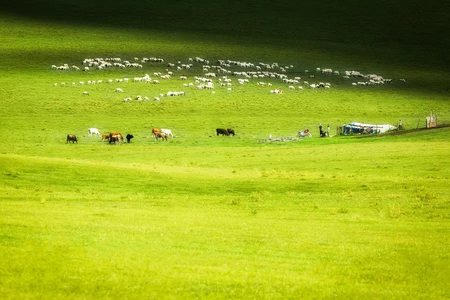 Hexigten Prairie