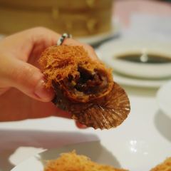 Seventhson User Photo