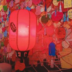 梁先森·酸奶 User Photo