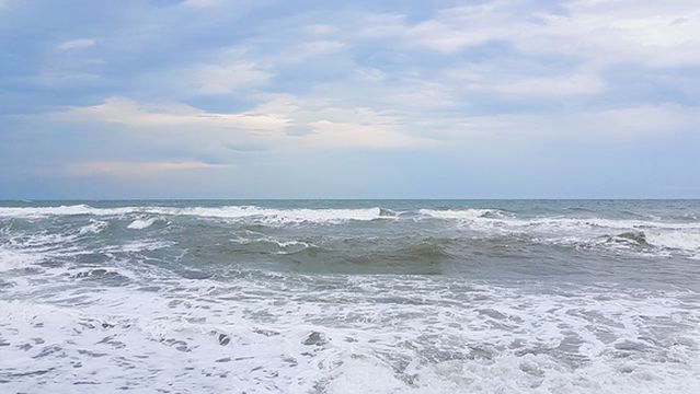 Platja de la Malva-rosa