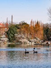 梅岭国家森林公園