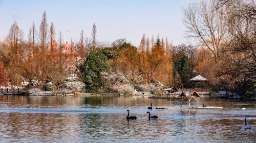 梅岭国家森林公園