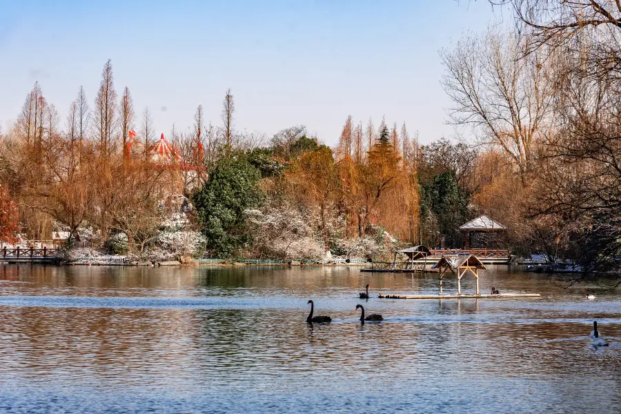 梅岭国家森林公園