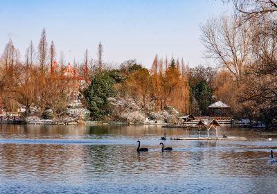 梅岭国家森林公園