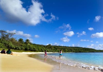 Hulopoe Beach