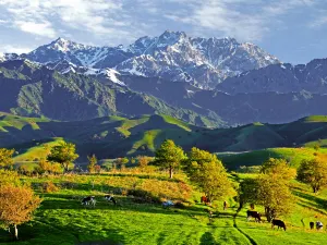China Fushou Mountain Scenic Area