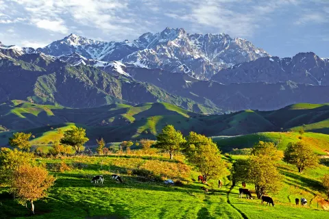 China Fushou Mountain Scenic Area