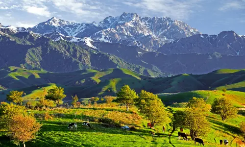 China Fushou Mountain Scenic Area