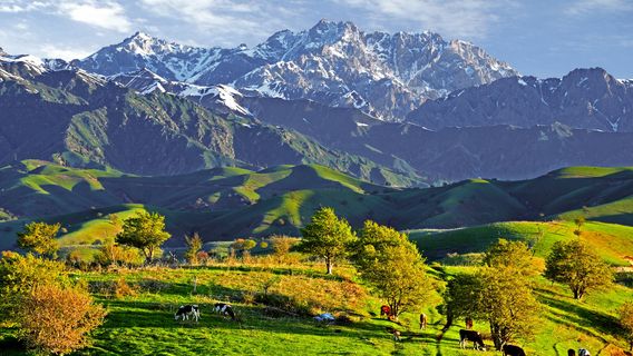 China Fushou Mountain Scenic Area