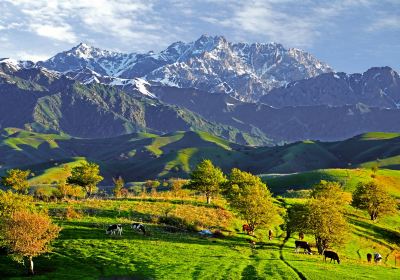 China Fushou Mountain Scenic Area