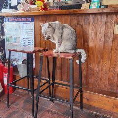 Day &Night Cafe User Photo