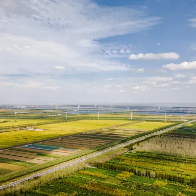 Разрешено размещения с домашними животными Отели в г. Цидун