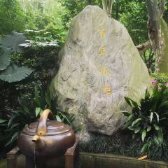 HEMING CHASHE User Photo