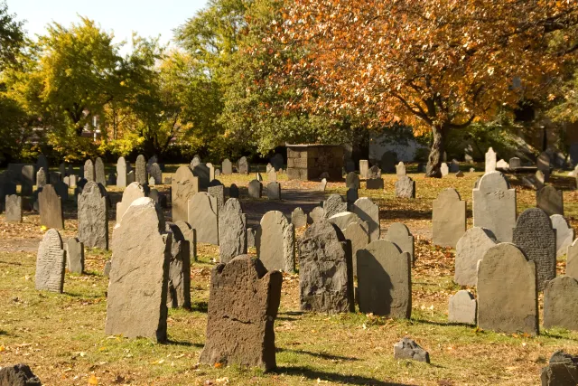 Best Halloween Trips 2025: Spooky Getaways and Fun Ideas