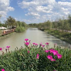Xin Zhenjiang Shanghai Fuchun Soup Dumplings Restaurant User Photo