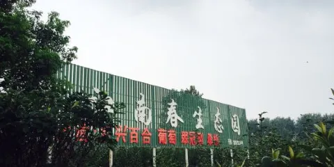 江南春生態園（中北路店）