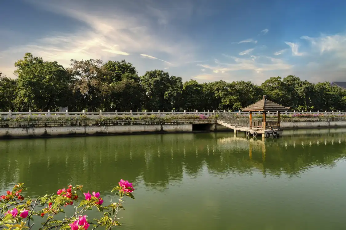 金山湖文化公園附近的飯店