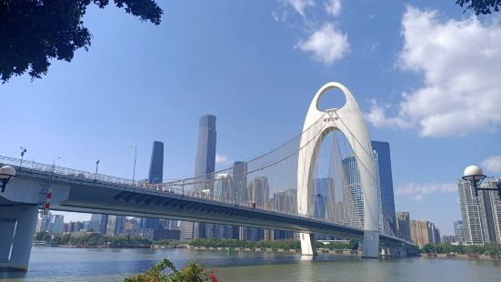 在广州的珠江江面上，前前后后跨越着多座大桥，猎德大桥就是其中