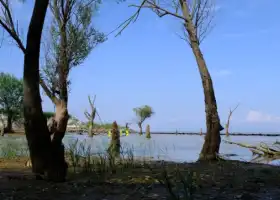 巢湖蘆溪濕地