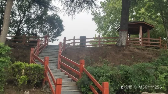 Shenqiu Dazha Park