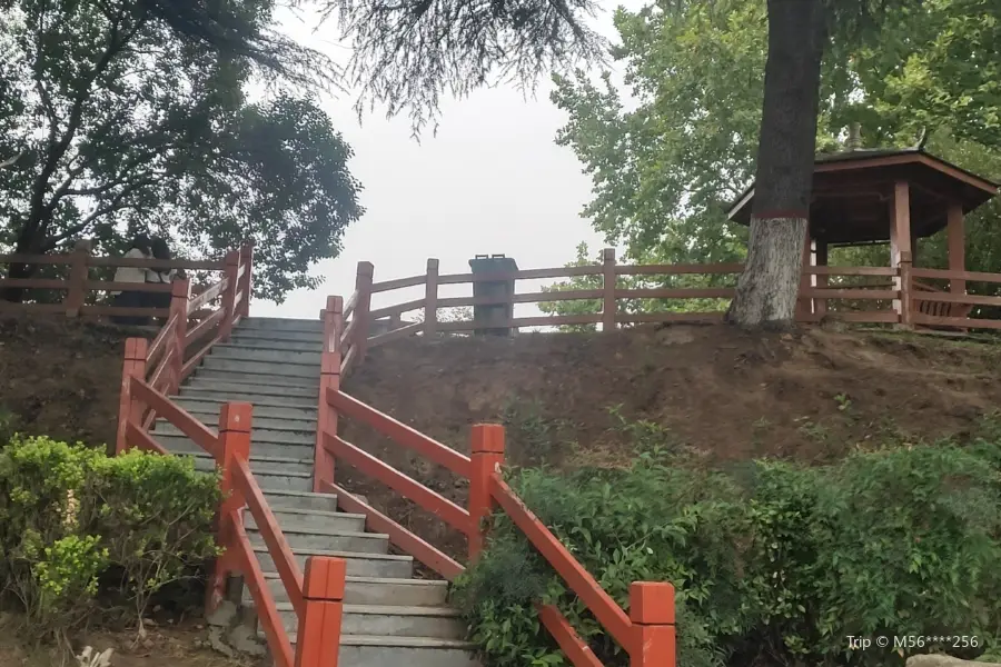 Shenqiu Dazha Park