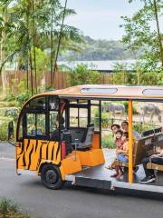 シンガポール動物園