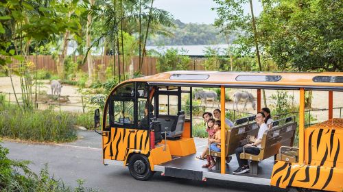 Singapore Zoo